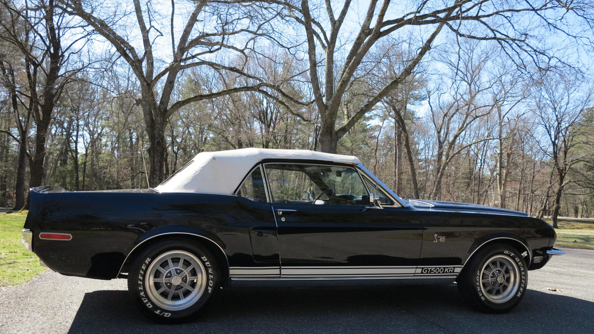 Ford Shelby Mustang GT500